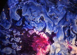 Enrico Magnani, Supernova. Birth to Life – Vita alla Vita
