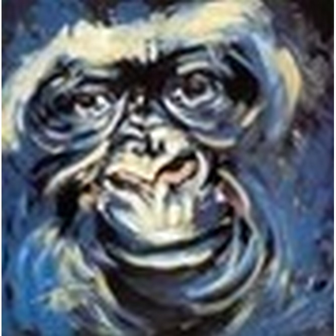 Gorilla uomo