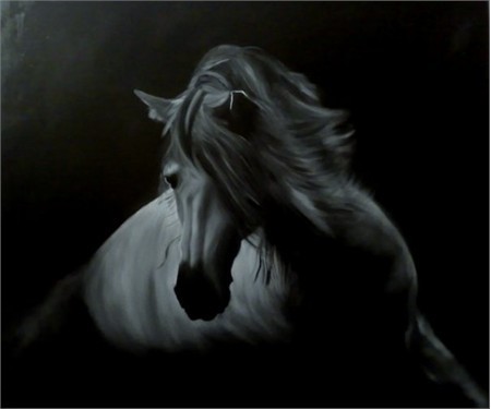 Black beauty 