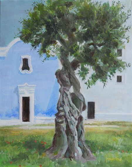 Cappella rurale e ulivo 