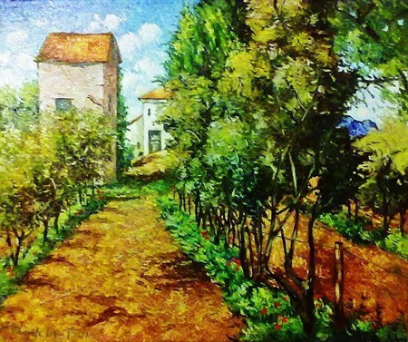 Orti in Provenza 