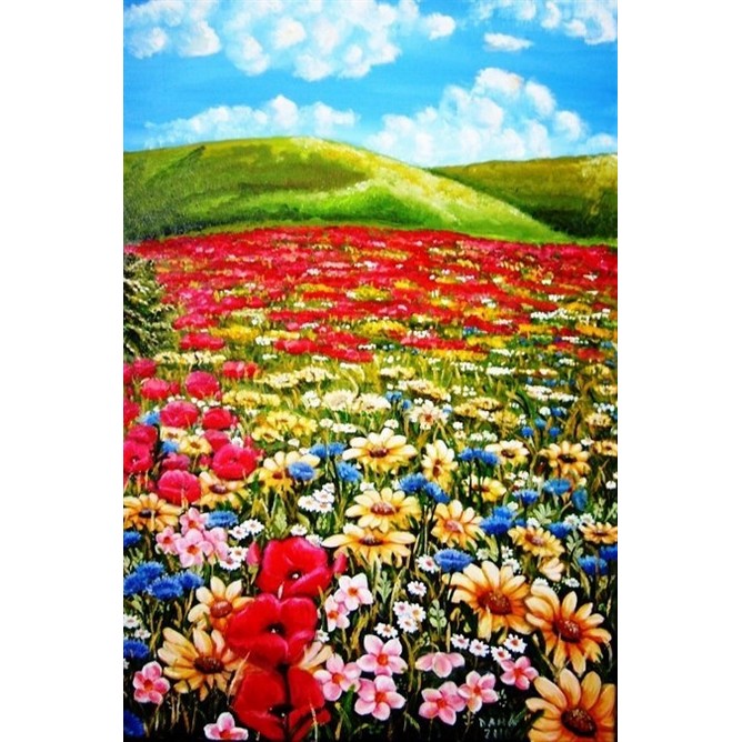 Fiori di campo