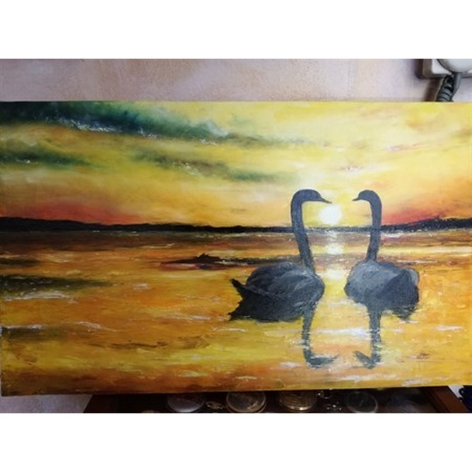 cigni al tramonto