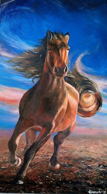 Cavallo 