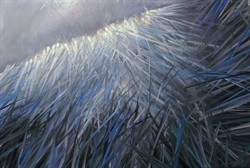 Nel silenzio di una meditazione